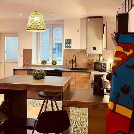 Triplex 4 Lits Simples Lejlighed Belleville (Meurthe-et-Moselle)